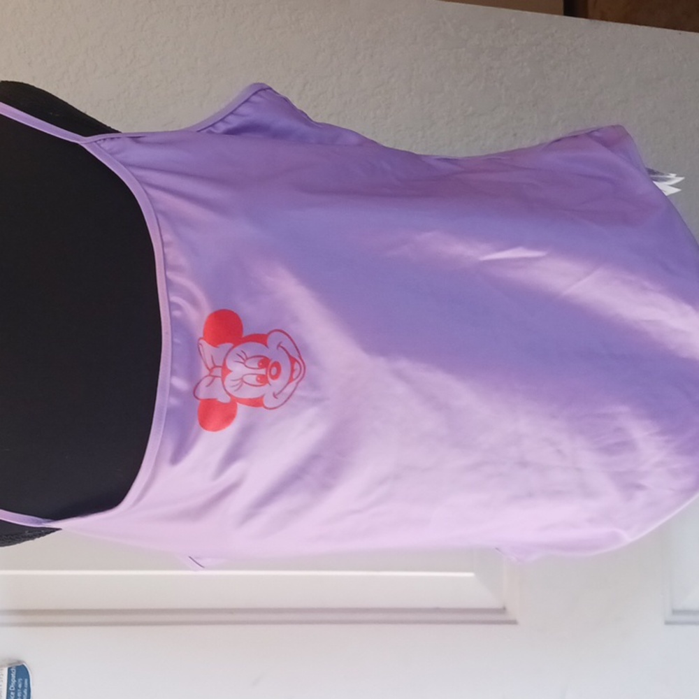 Disneyland Minnie Mouse Swimsuit 2x